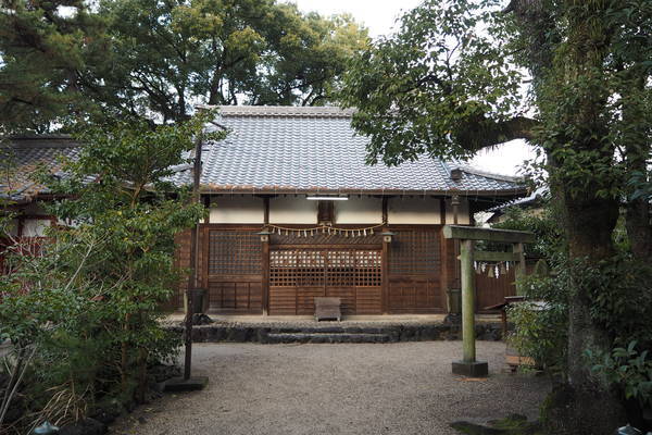f:id:midorineko_cutter_mat:20220112135832j:plain