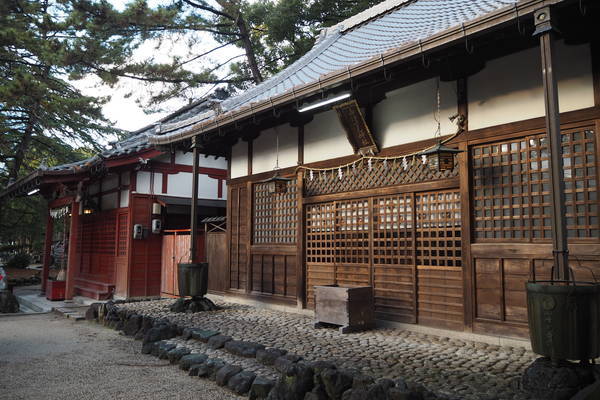 f:id:midorineko_cutter_mat:20220112135909j:plain