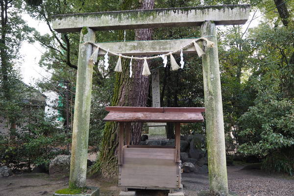 f:id:midorineko_cutter_mat:20220112140717j:plain