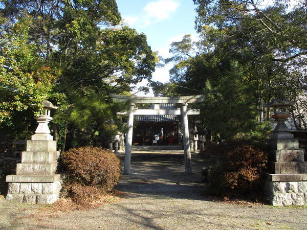 f:id:midorineko_cutter_mat:20220122201728j:plain
