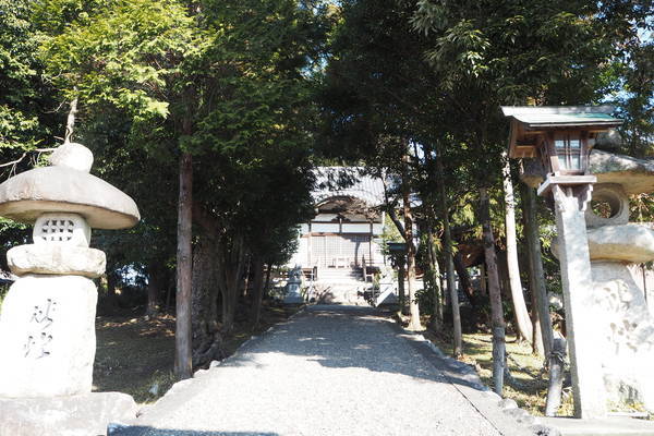 f:id:midorineko_cutter_mat:20220123212803j:plain