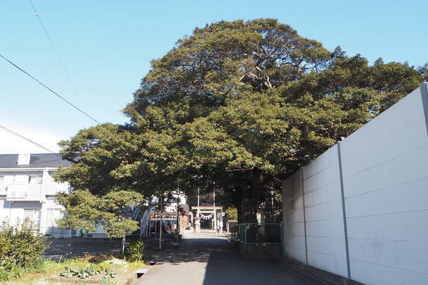 f:id:midorineko_cutter_mat:20220123215037j:plain
