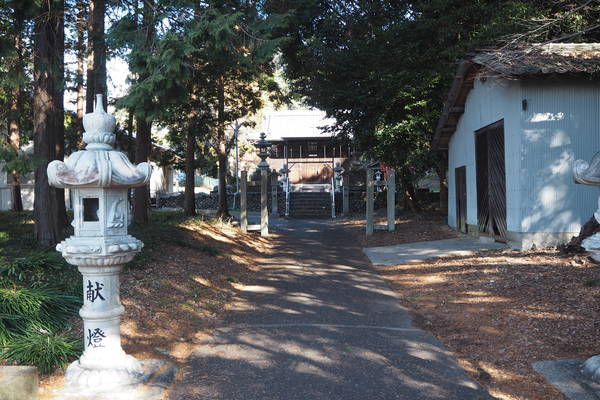 f:id:midorineko_cutter_mat:20220123215328j:plain