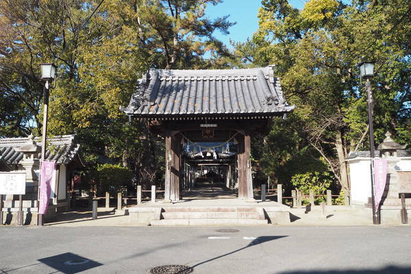 f:id:midorineko_cutter_mat:20220124104908j:plain