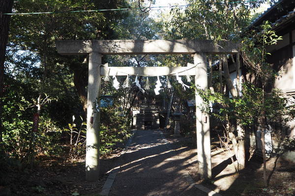 f:id:midorineko_cutter_mat:20220124105610j:plain