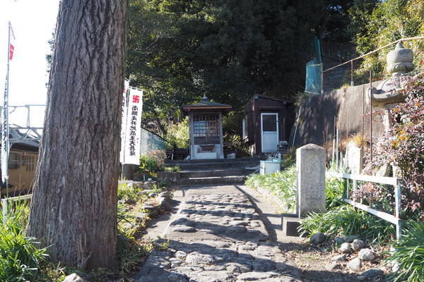 f:id:midorineko_cutter_mat:20220125092952j:plain