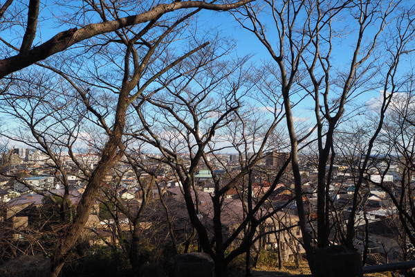 f:id:midorineko_cutter_mat:20220125094455j:plain