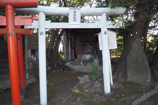 f:id:midorineko_cutter_mat:20220125095522j:plain