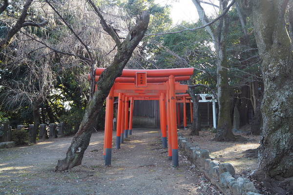 f:id:midorineko_cutter_mat:20220125095535j:plain