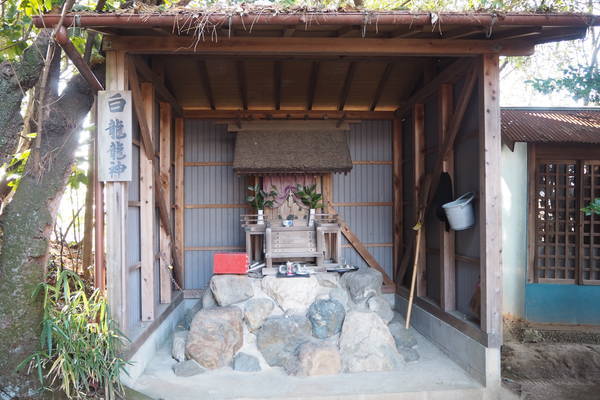 f:id:midorineko_cutter_mat:20220125095547j:plain