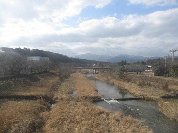 f:id:midorineko_cutter_mat:20220127212043j:plain