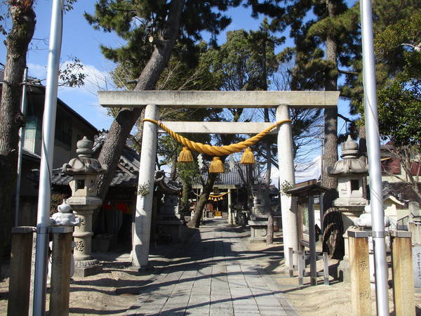 f:id:midorineko_cutter_mat:20220209093754j:plain