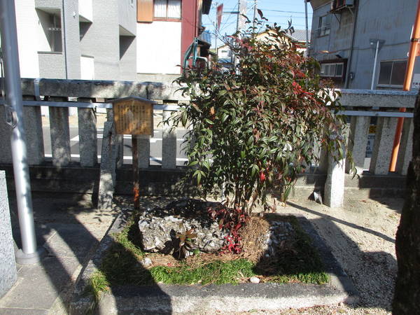 f:id:midorineko_cutter_mat:20220209095035j:plain