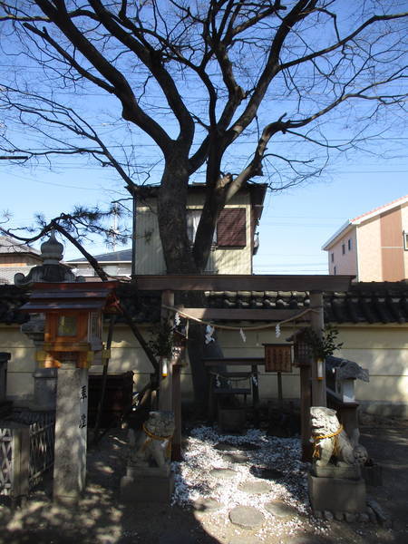 f:id:midorineko_cutter_mat:20220209095114j:plain