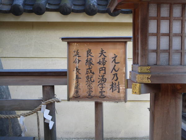 f:id:midorineko_cutter_mat:20220209095123j:plain
