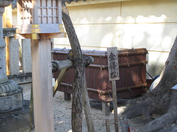 f:id:midorineko_cutter_mat:20220209095131j:plain
