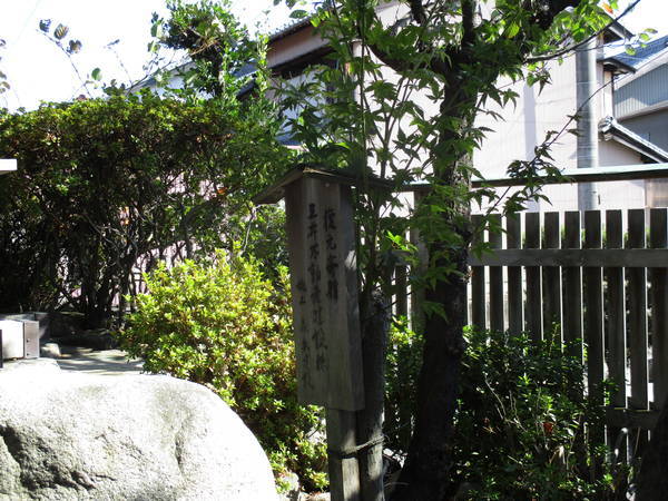f:id:midorineko_cutter_mat:20220210095218j:plain