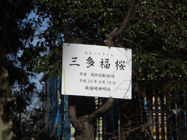 f:id:midorineko_cutter_mat:20220210095935j:plain