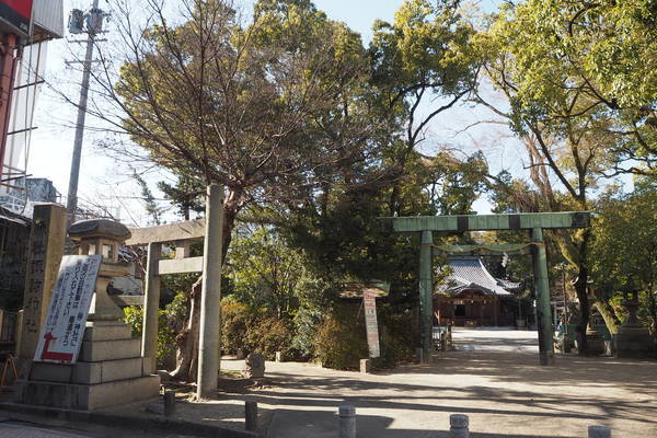 f:id:midorineko_cutter_mat:20220212210349j:plain