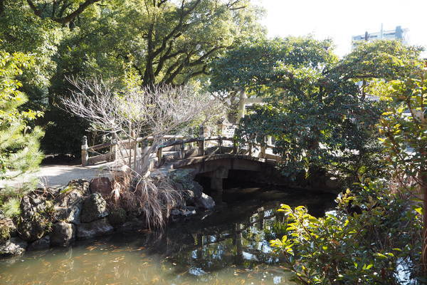 f:id:midorineko_cutter_mat:20220212210523j:plain