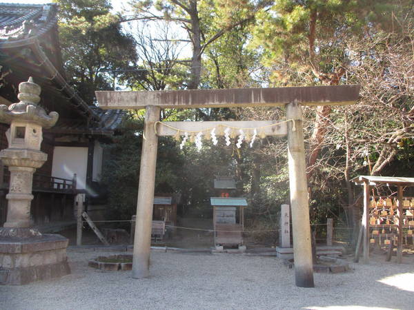 f:id:midorineko_cutter_mat:20220212210536j:plain