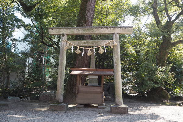 f:id:midorineko_cutter_mat:20220212210546j:plain