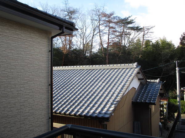 f:id:midorineko_cutter_mat:20220224090609j:plain