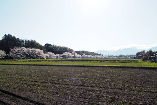 f:id:midorineko_cutter_mat:20220405093632j:plain