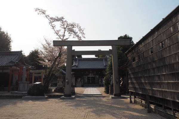 f:id:midorineko_cutter_mat:20220406214843j:plain