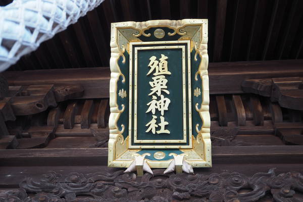 f:id:midorineko_cutter_mat:20220406215247j:plain