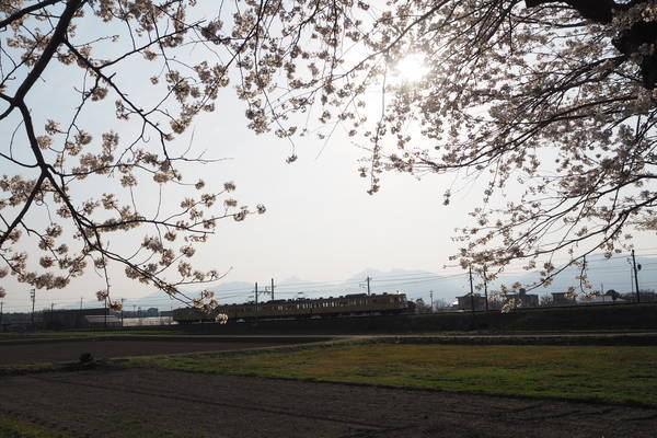 f:id:midorineko_cutter_mat:20220406224255j:plain