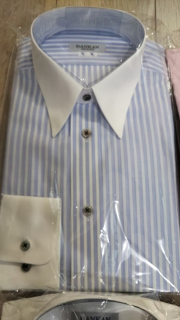 f:id:midorinekox:20190120135529j:plain