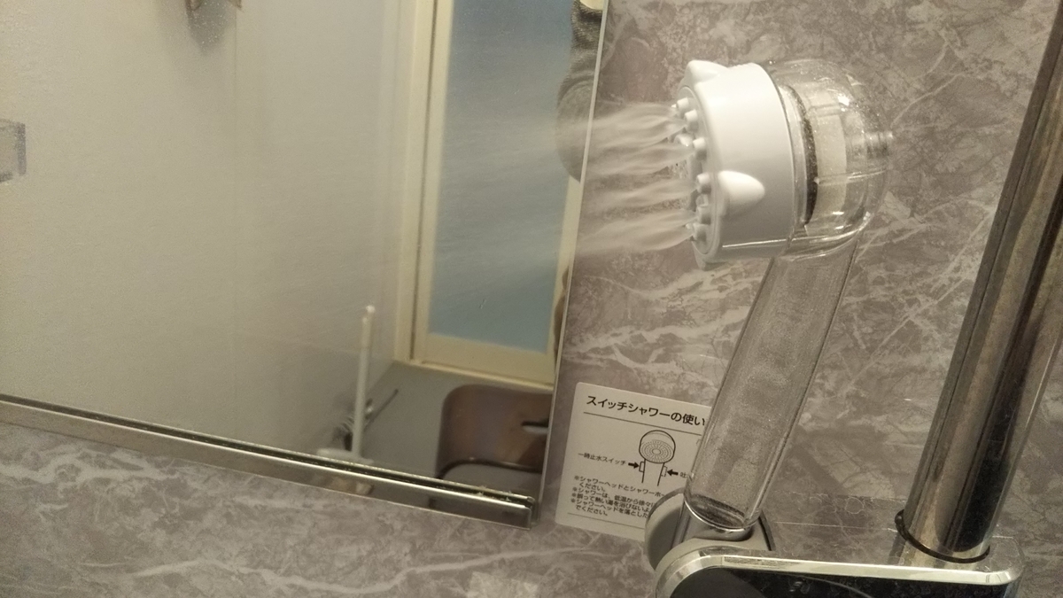 f:id:midorinekox:20190325212256j:plain