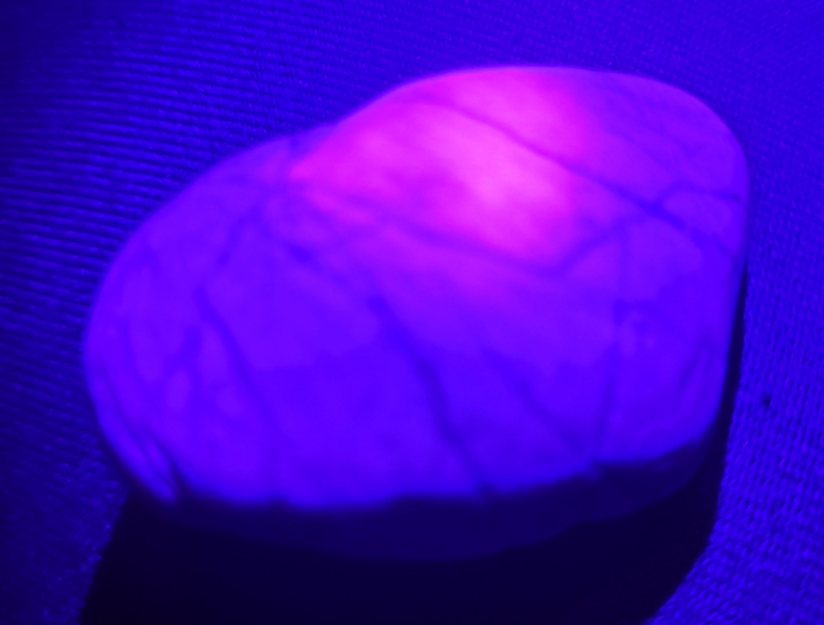 ヒスイ拾い遠征(8/27、8/28) - みどりの石拾いブログ