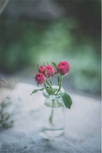 f:id:midoripiano4321:20210405131754j:image f:id:midoripiano4321:20210405131754j:image