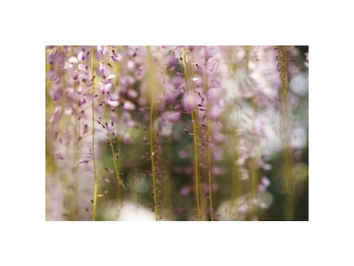 f:id:midoripiano4321:20210420205212j:image