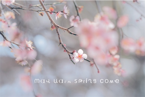 f:id:midoripiano4321:20220208101718j:image f:id:midoripiano4321:20220208101718j:image