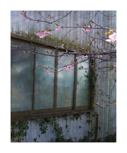 f:id:midoripiano4321:20220310223621j:image