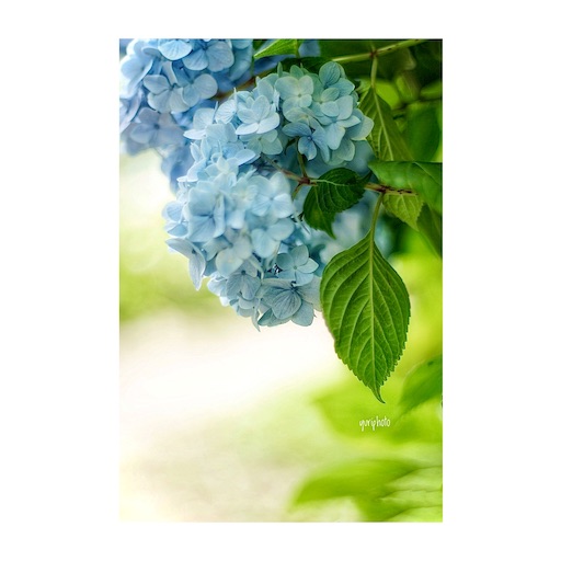 f:id:midoripiano4321:20220703153543j:image