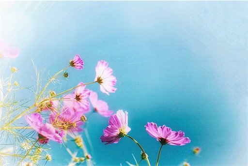 f:id:midoripiano4321:20230823220836j:image f:id:midoripiano4321:20230823220836j:image