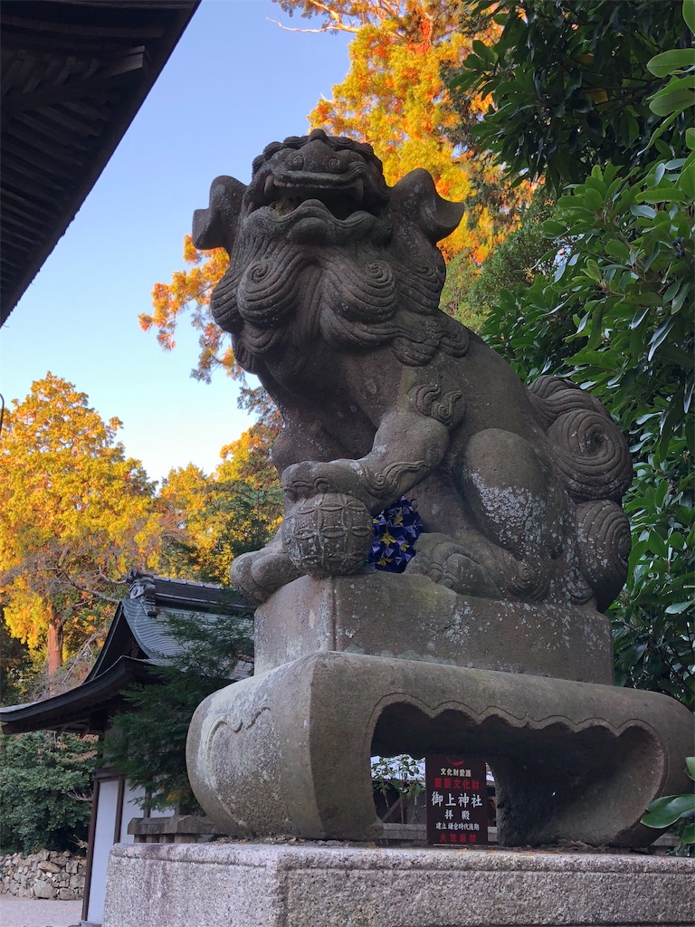 f:id:midorish:20181124212443j:image f:id:midorish:20181124212443j:image