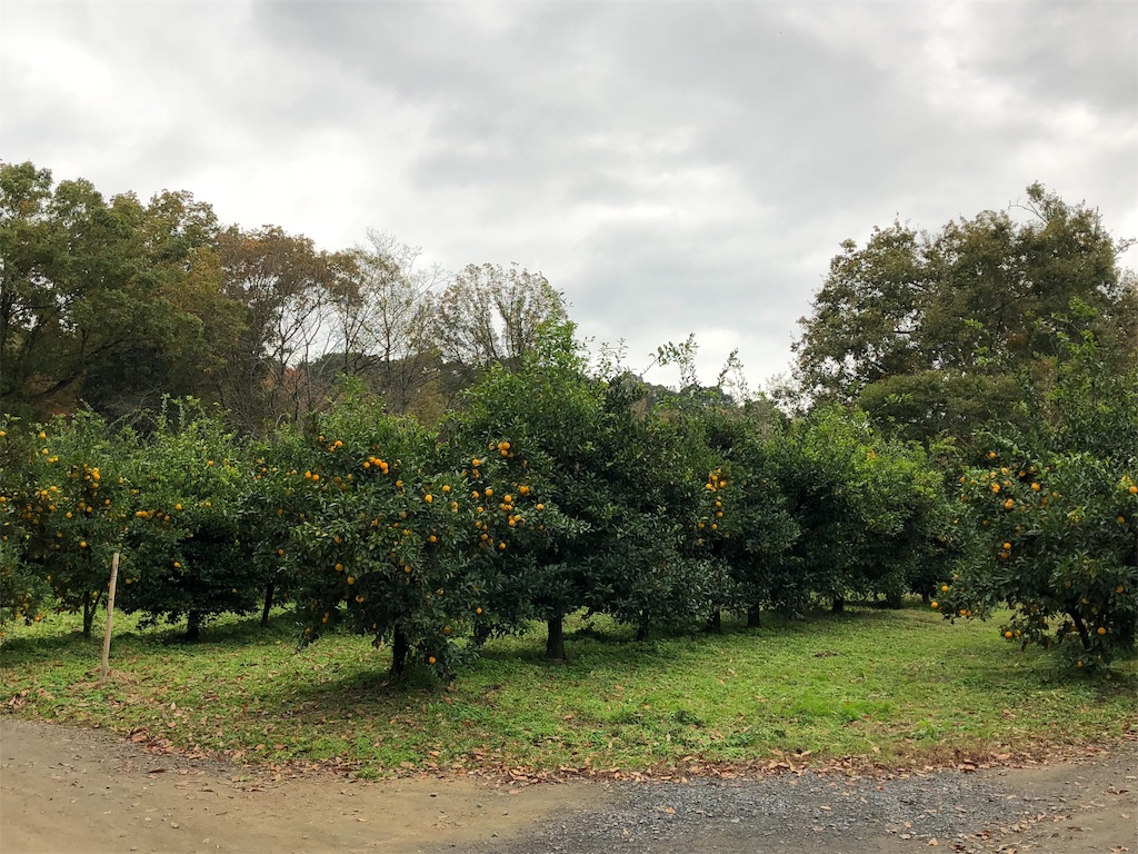 f:id:midorish:20181124212728j:image f:id:midorish:20181124212728j:image