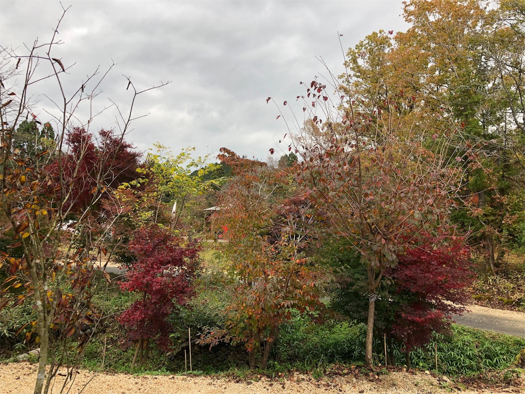 f:id:midorish:20181124212739j:image f:id:midorish:20181124212739j:image