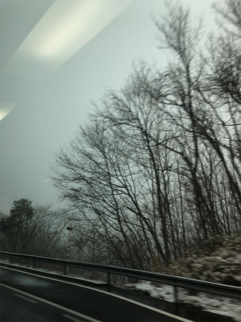 f:id:midorish:20190216212037j:image