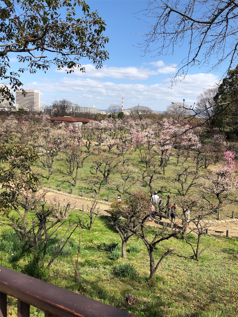 f:id:midorish:20190308224138j:image