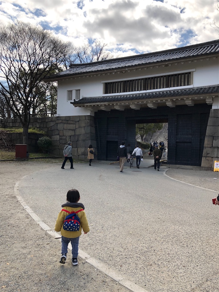 f:id:midorish:20190308224229j:image