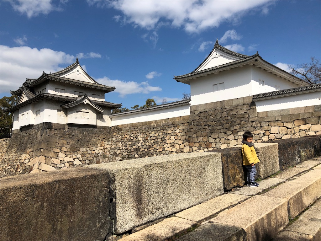 f:id:midorish:20190308224334j:image