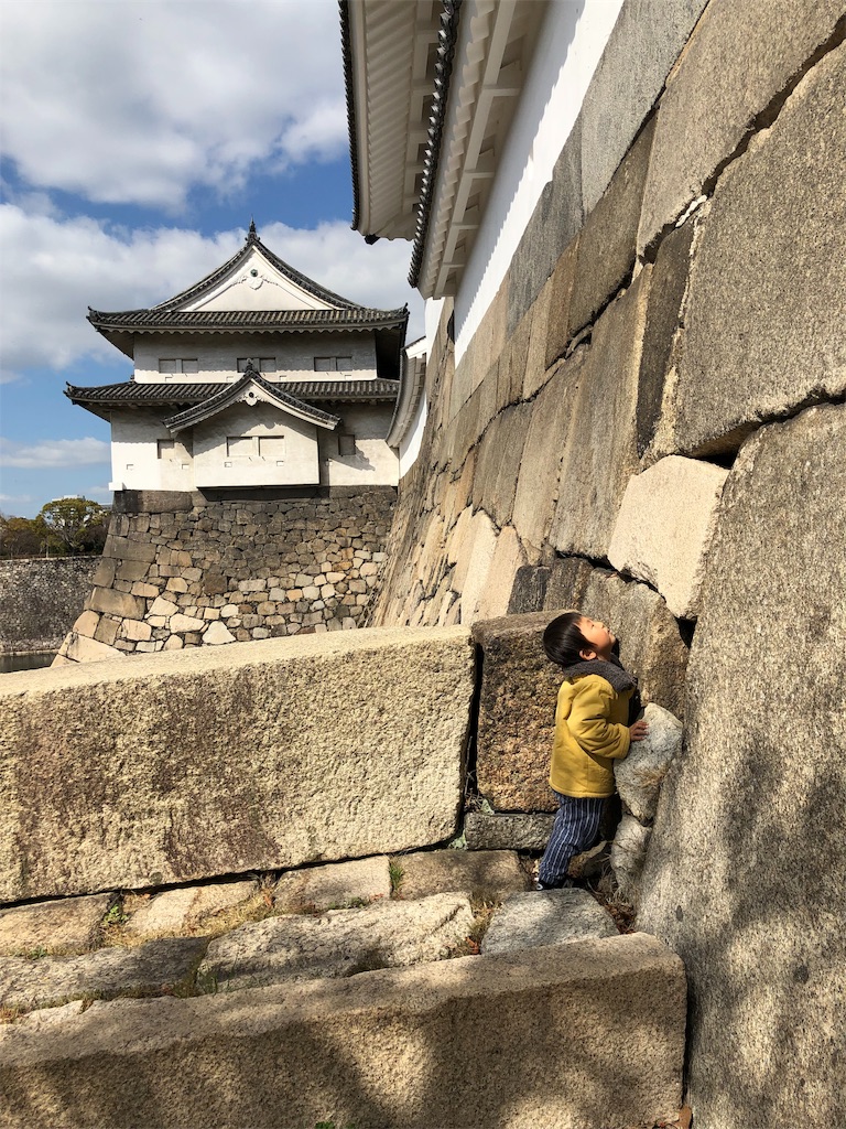 f:id:midorish:20190308224526j:image