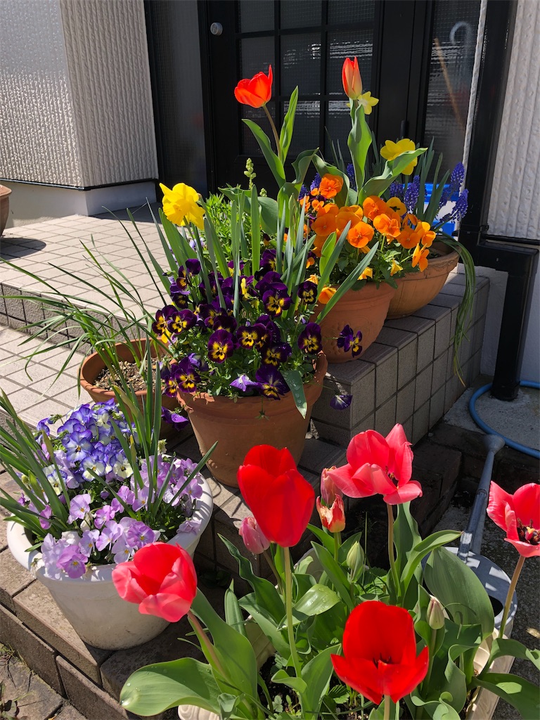 f:id:midorish:20190521130836j:image