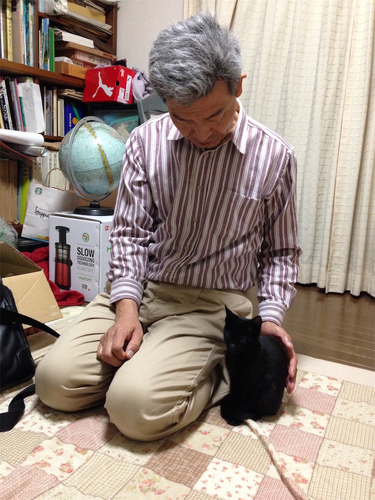 f:id:midorish:20190706191017j:image